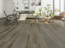 Load image into Gallery viewer, GRAND VALLEY II