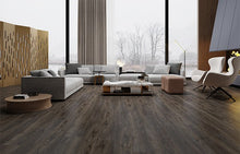 Load image into Gallery viewer, Terminator Plus