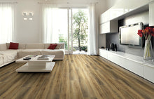 Load image into Gallery viewer, RIGID PLATINUM
