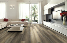 Load image into Gallery viewer, RIGID PLATINUM
